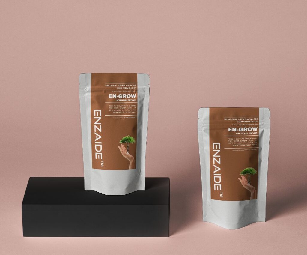 snacks to chew better