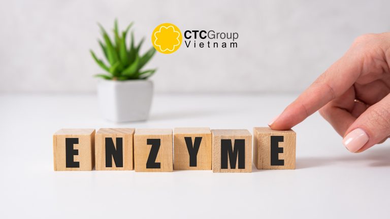 Trang Chủ 8 Cellulase 1